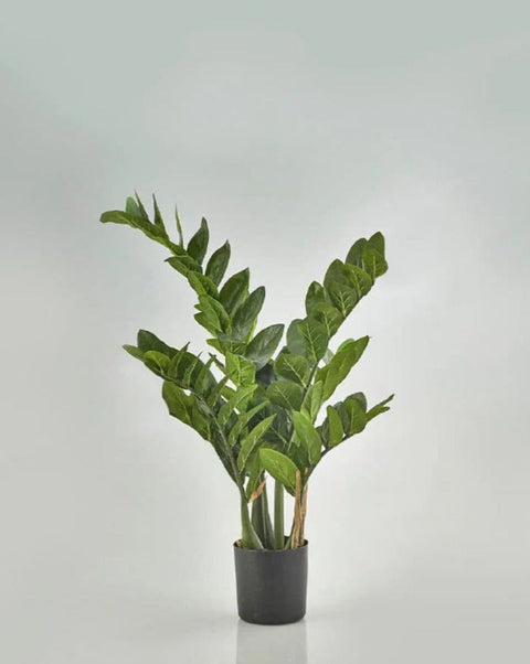 ZAMIFOLIA artificielle MIMI CDM Paris