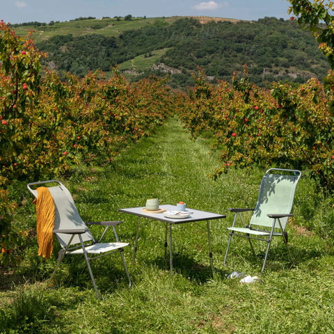 Fauteuil ALU CHAM