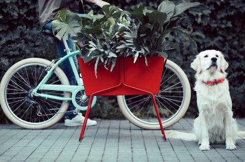 Jardinière haute BASKET de la marque française Fermob. Acheter Fermob en ligne. Rincón del Mueble