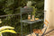 Table de balcon BISTRO 57 x 77 cm de la marque Fermob. Acheter Fermob en ligne.