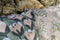 Coussin d’extérieur BOUQUET SAUVAGE, tulipe de 44x44 cm FERMOB