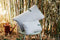 Coussin d’extérieur COLOR MIX de 44 x 30 cm de la marque Fermob. Acheter Fermob en ligne. Rincón del Mueble